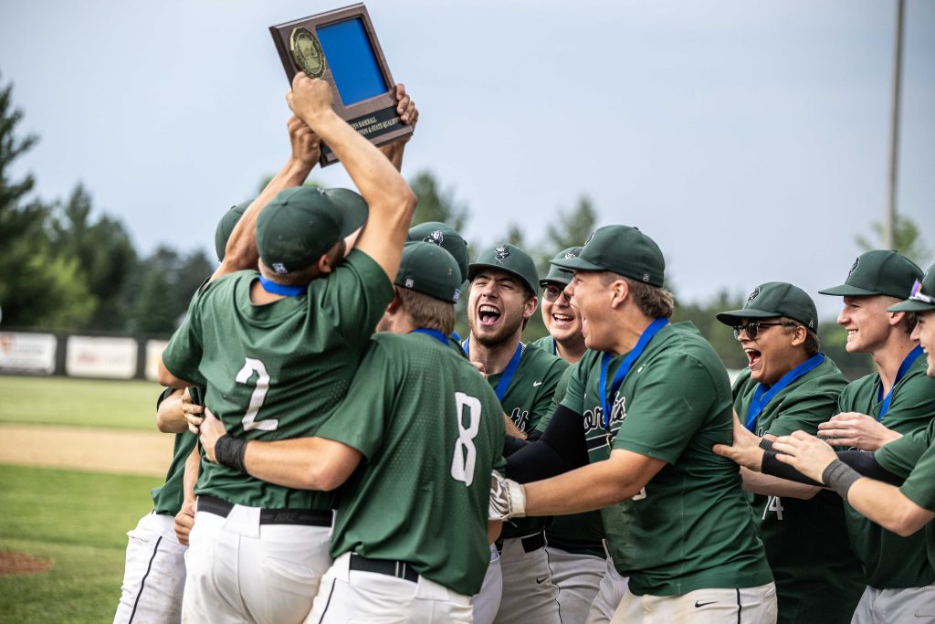 Photo by Jenny Hoppe
The Hornets celebrate their first Section baseball championship since 1999 after defeating Sebeka 10-4 Thursday, June, 5, in Pierz.
